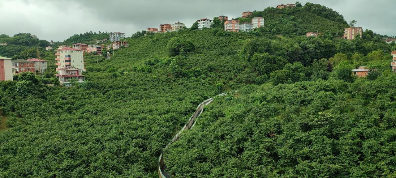 Metro Vip Aparthotel Trabzon Exteriör bild